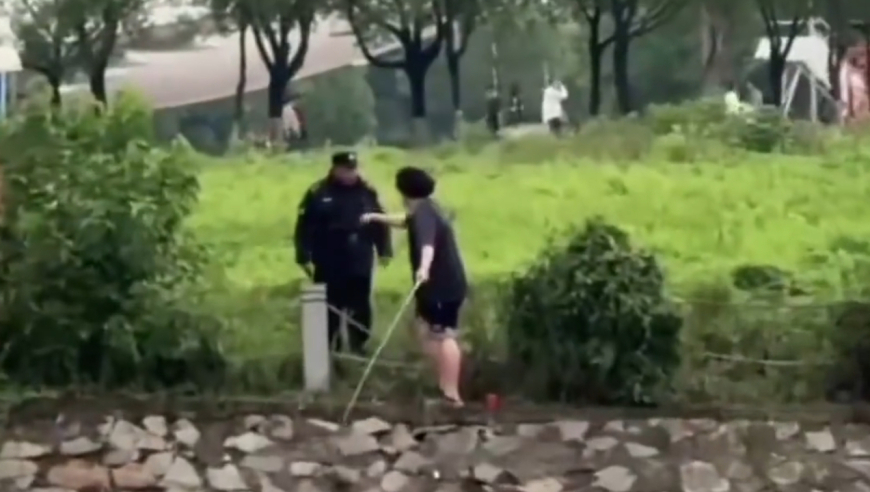 打开49图库免费资料,申公豹这一跳太帅了,收益成语分析落实_铂金版V2.74