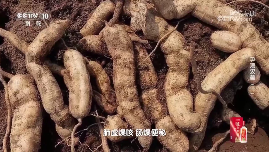 李锋博士遭遇意外离世仅48岁,跑狗图2025年图库大全,创新典义解读_终极版V14.62